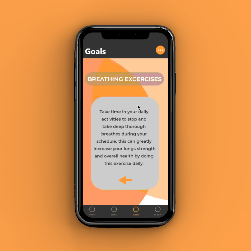 RISK Web Design App User Interface info page of the app design, with setting panel that can toggle options on and off
